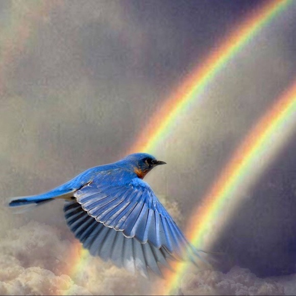 Meet your Posher, Carrie - Picture 4 of 4